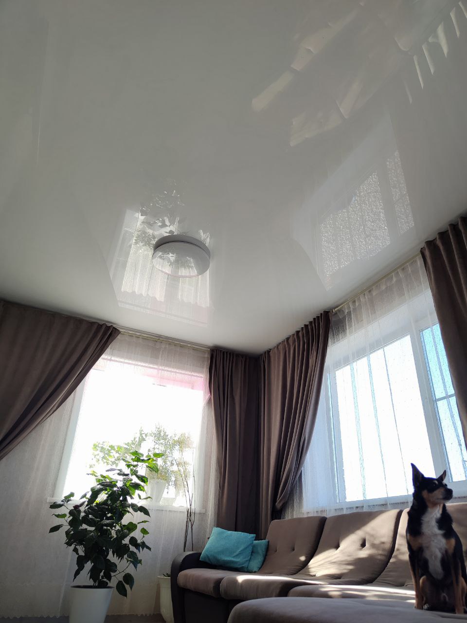 Premium glossy white stretch ceiling living room DreamAbove Metro Manila